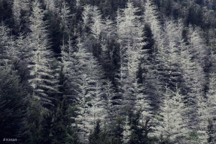 Красота Новой Зеландии