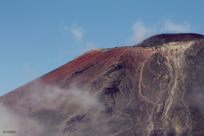 Красота Новой Зеландии