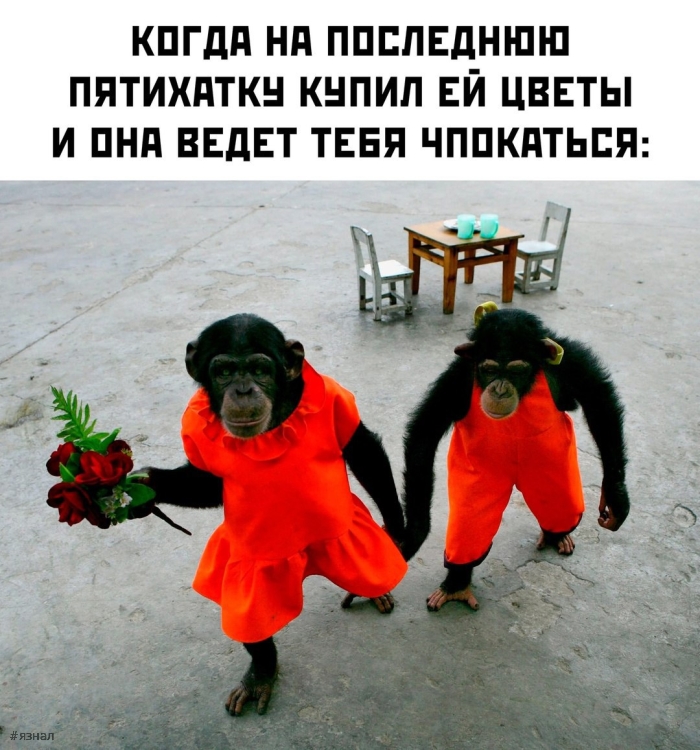 Тот самый юмор с пошлинкой