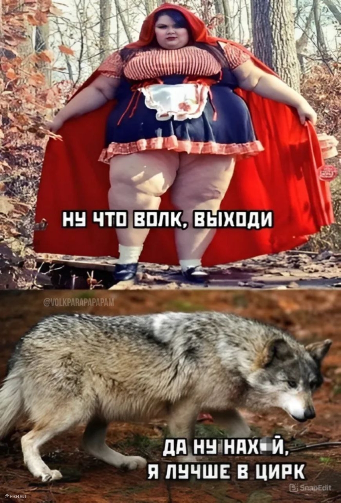 Пошлые приколы в картинках с надписями