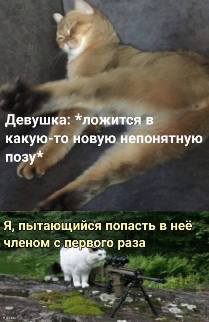 Пошленький юмор