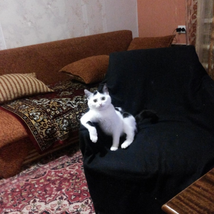 Позитивные фото для хорошего настроения