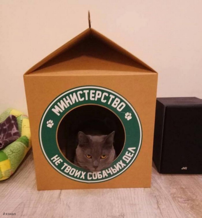 Позитивные фото для хорошего настроения