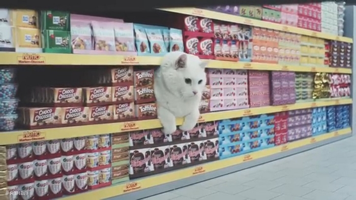 Позитивные фото для хорошего настроения