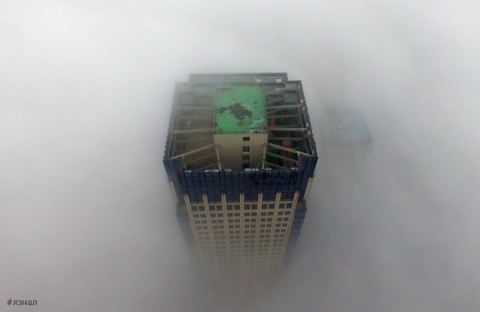 Позитивные фото для хорошего настроения