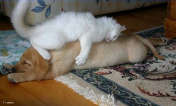 Позитивные фото для хорошего настроения