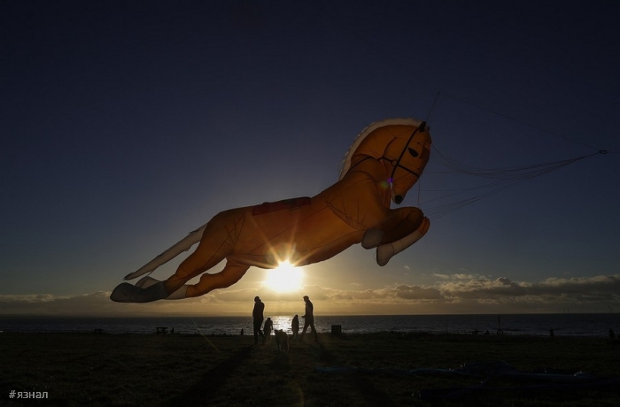 Позитивные фото для хорошего настроения