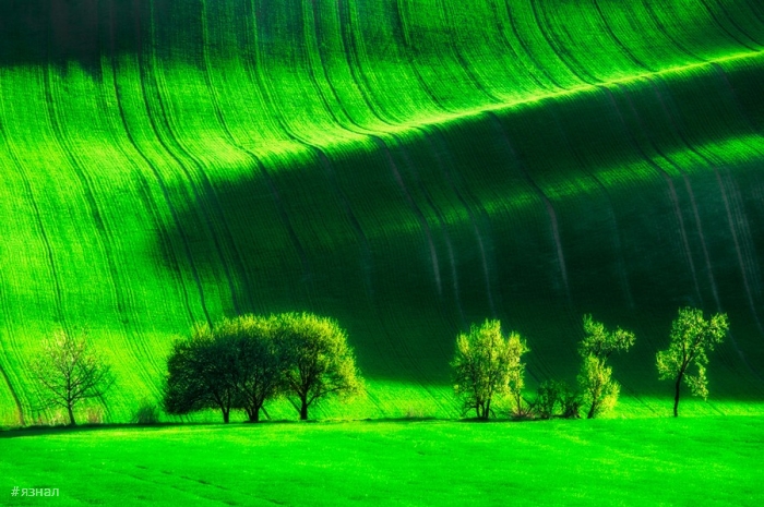 Позитивные фото для хорошего настроения