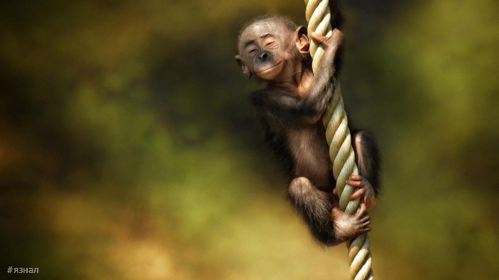 Позитивные картинки для настроения