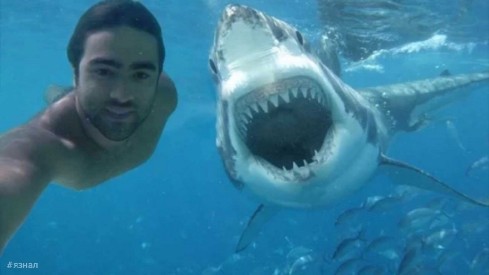 Позитивные картинки для настроения