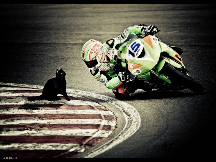 Позитивные картинки для настроения