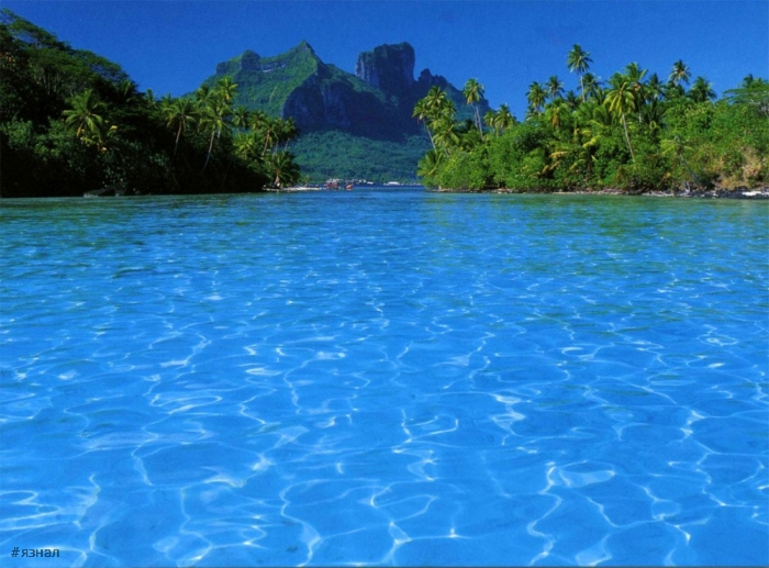 Позитивные картинки для настроения