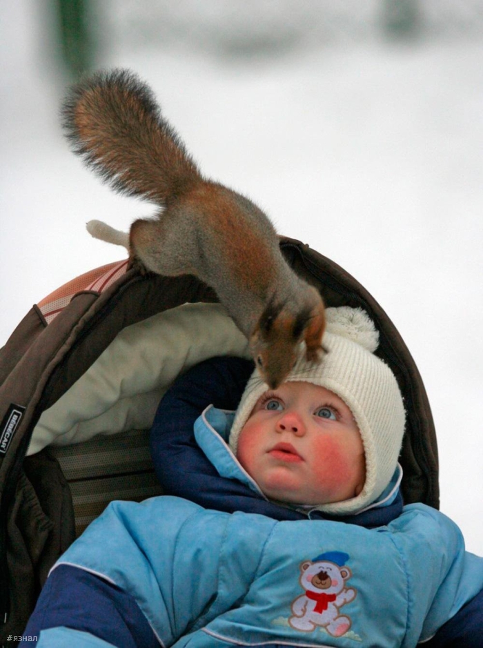 Позитивные картинки для настроения