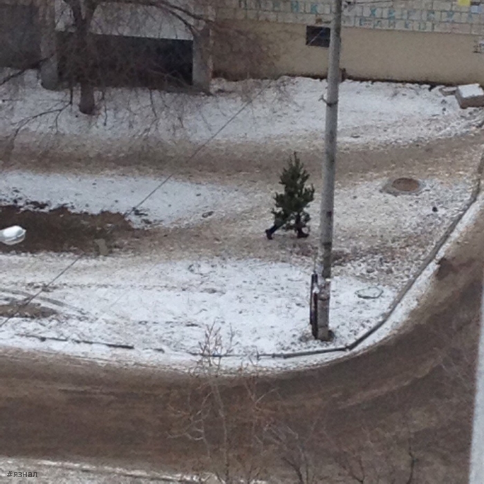 Позитивные фото приколы