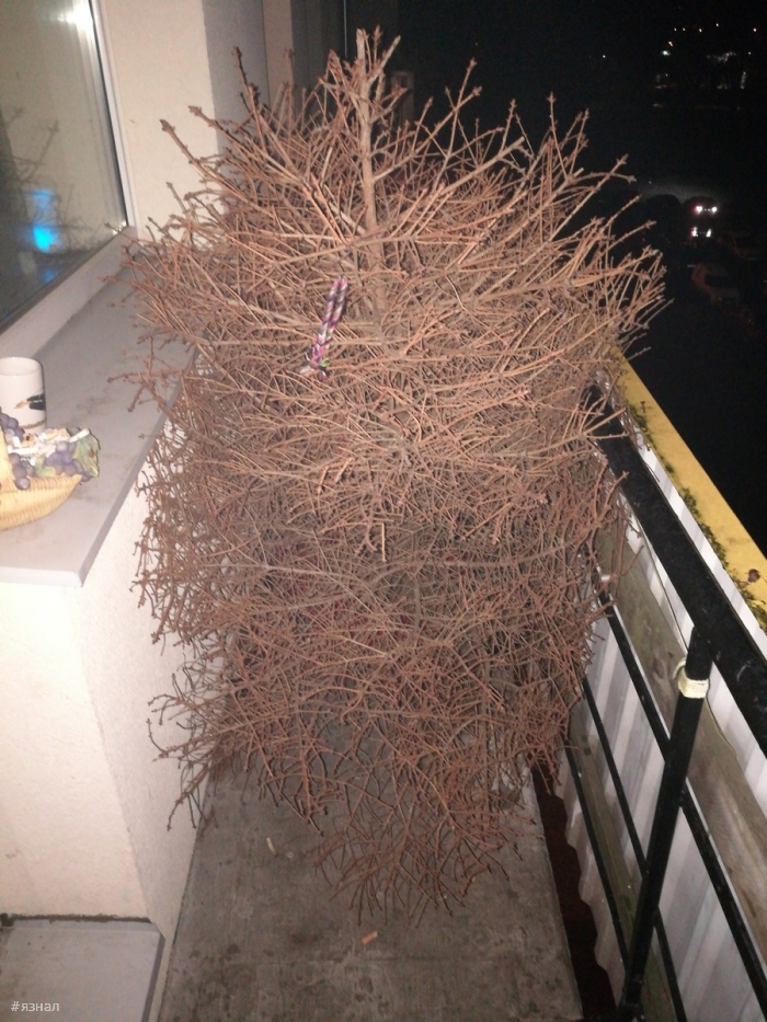 Позитивные фото приколы