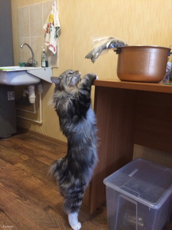 Позитивные фото приколы