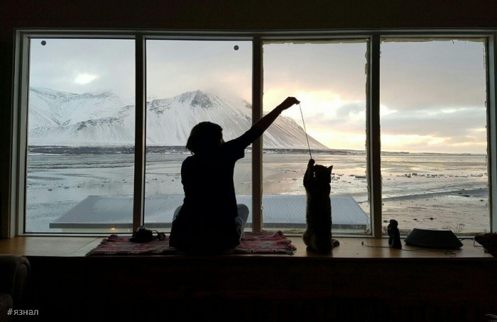 Позитивные фото приколы