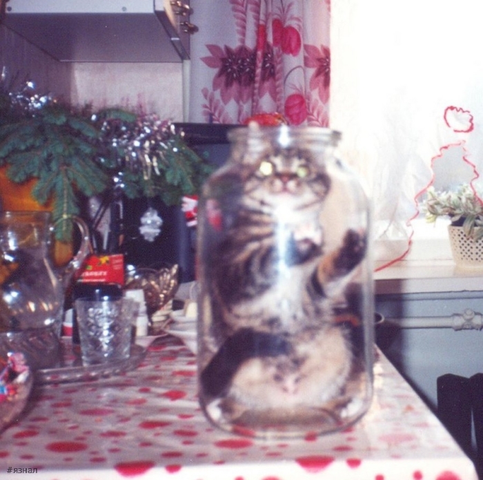 Позитивные фото приколы