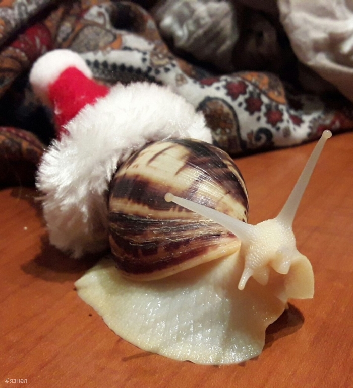 Позитивные фото приколы