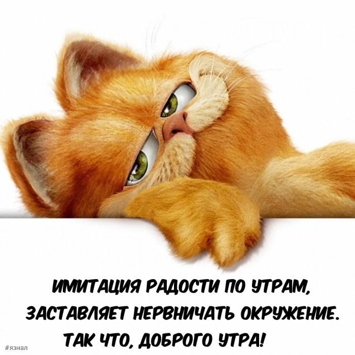 С добрым утром