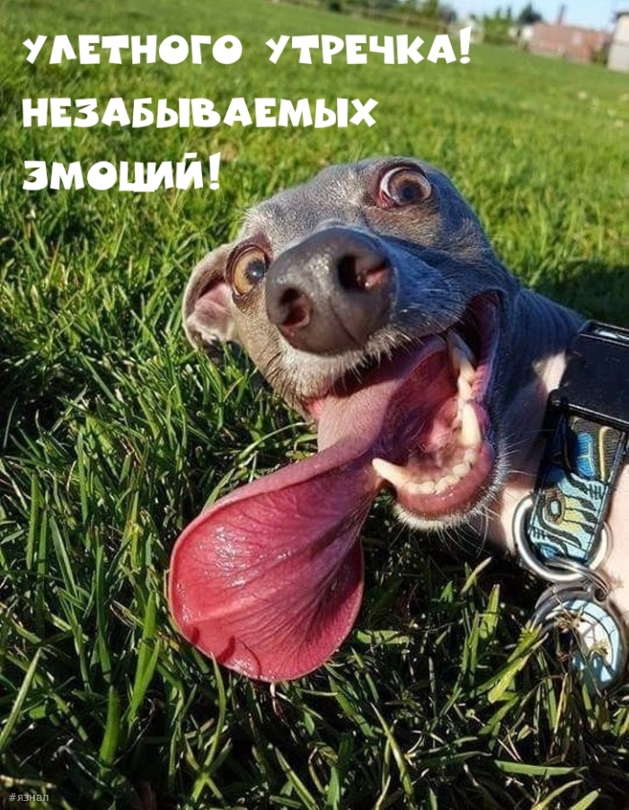 С добрым утром