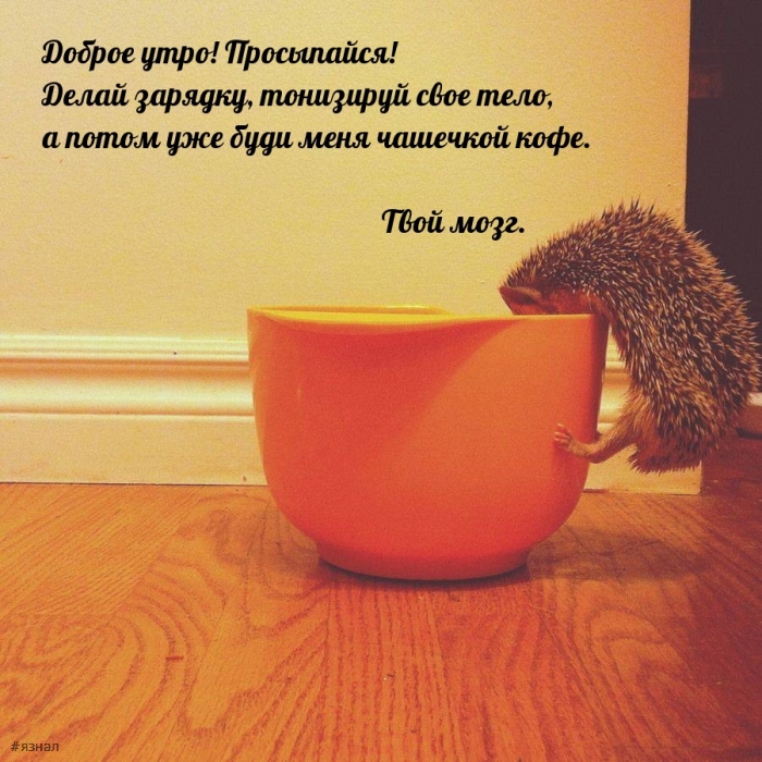 С добрым утром