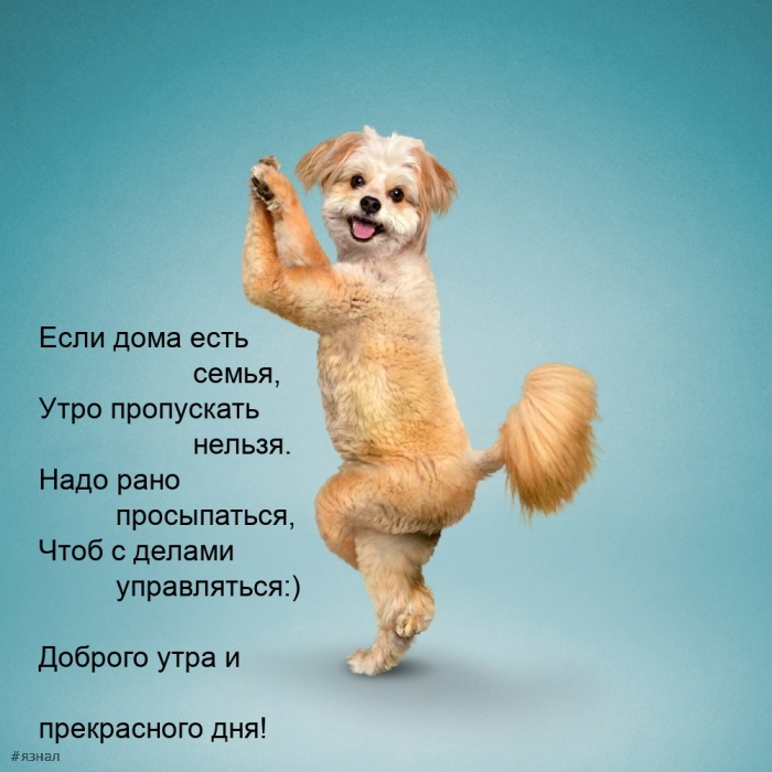 С добрым утром