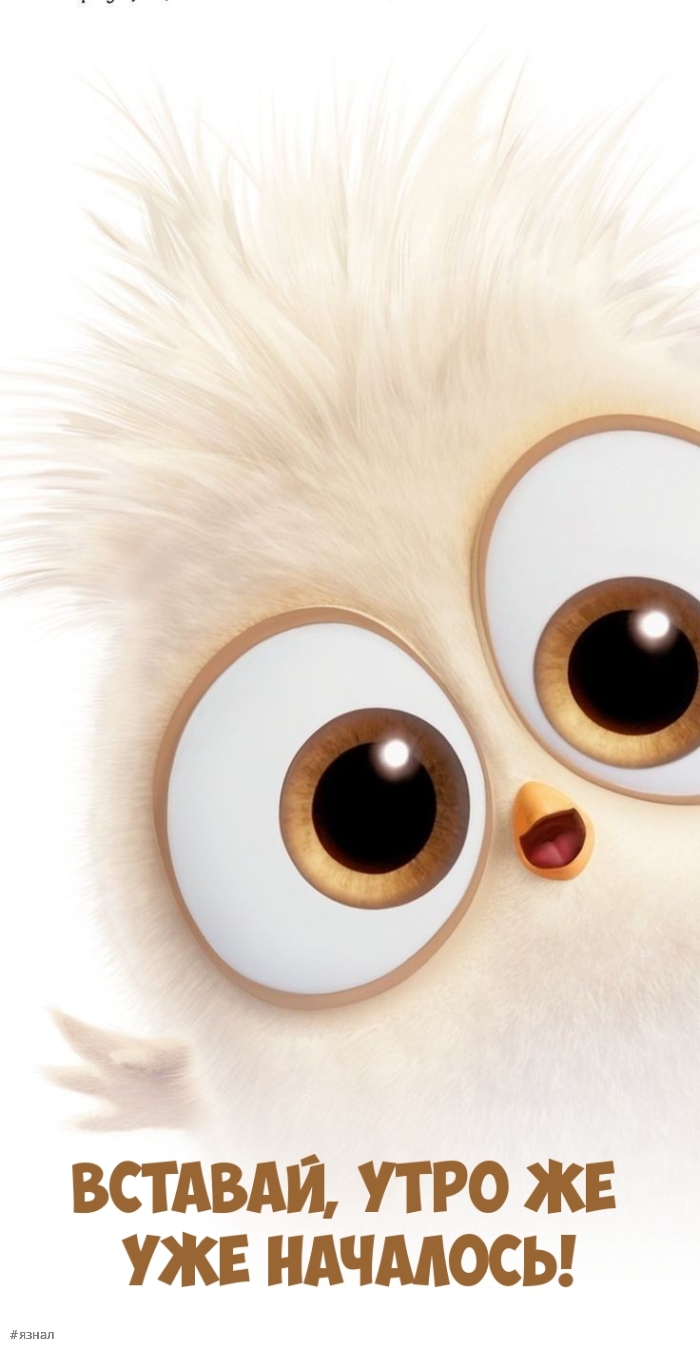 С добрым утром