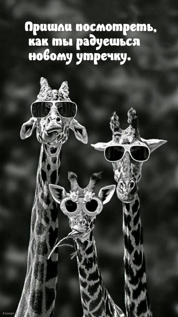 С добрым утром