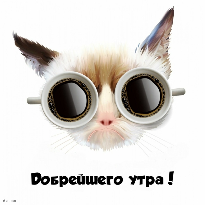 С добрым утром