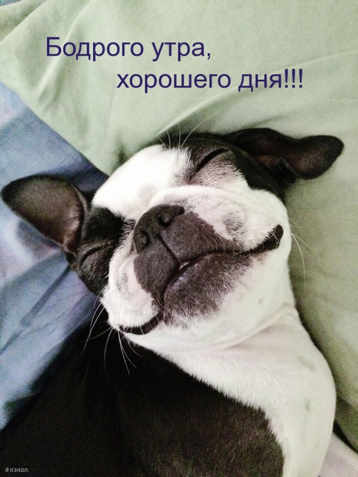 С добрым утром