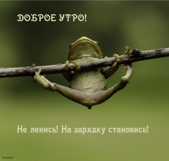 С добрым утром