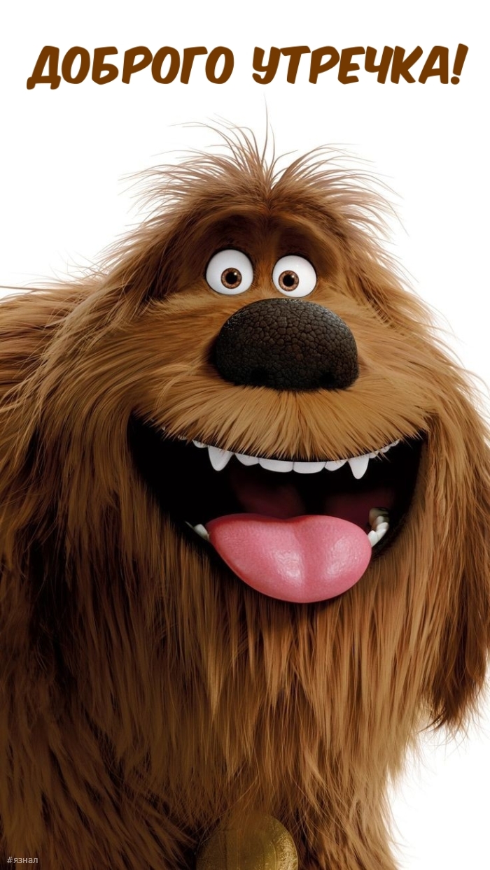 С добрым утром