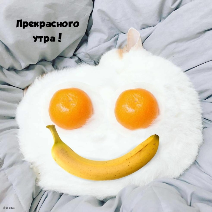 С добрым утром