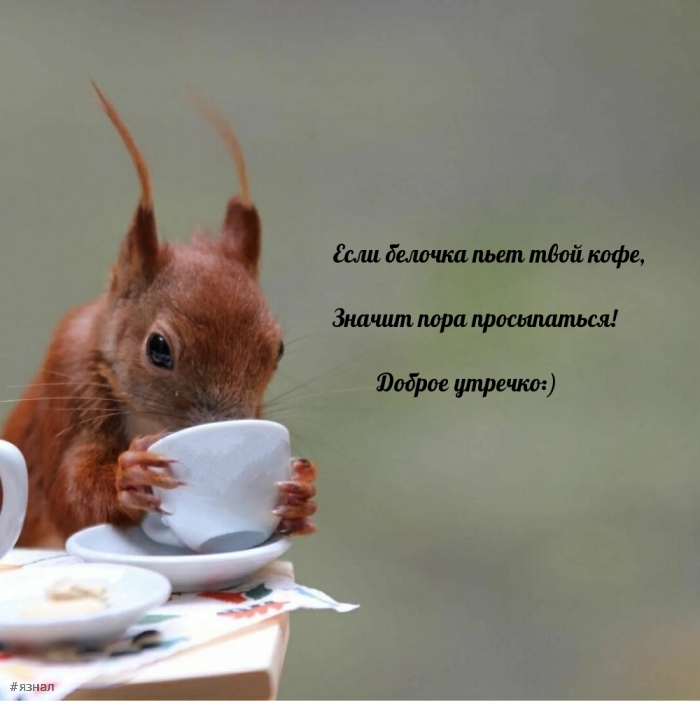 С добрым утром