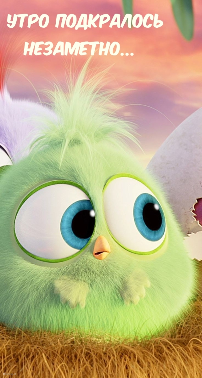 С добрым утром