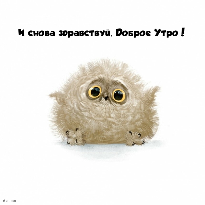 С добрым утром