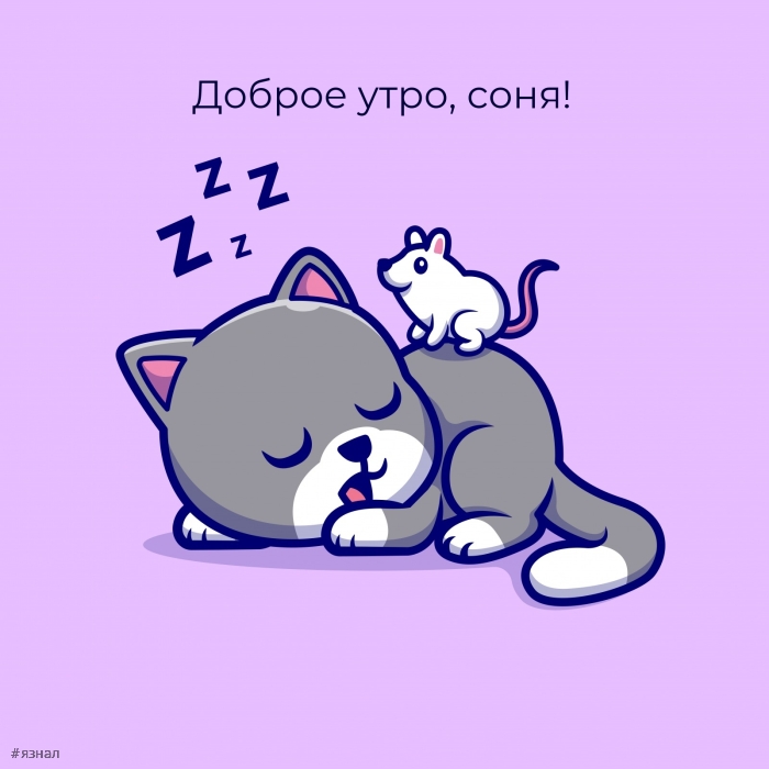 Доброе утро - картинки с котиками