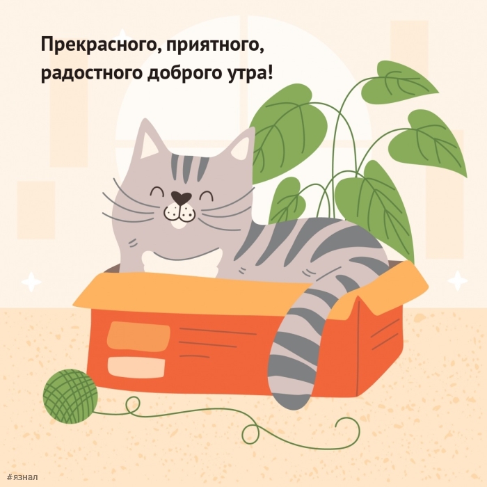 Доброе утро - картинки с котиками