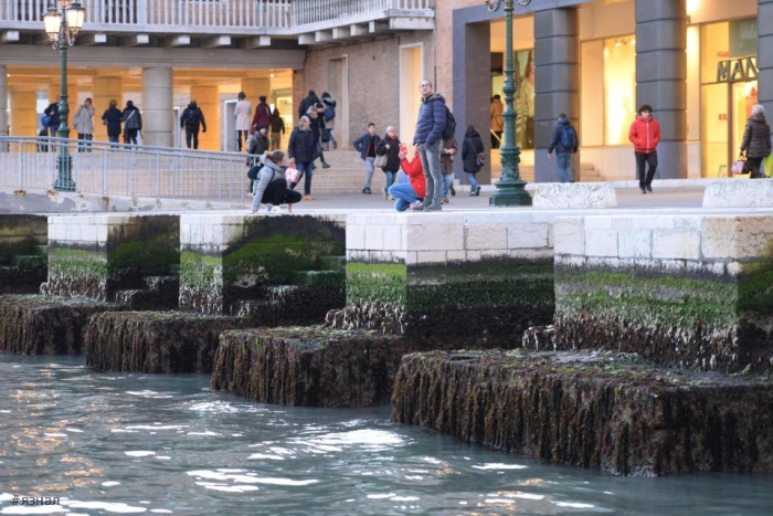 Тайны Венеции: куда уходит вода и почему исчезают люди?