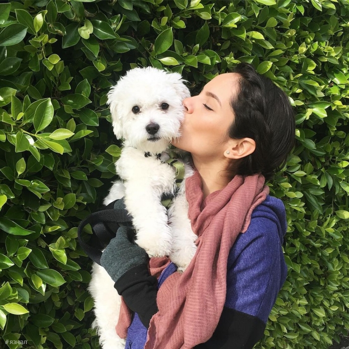 Весёлые девушки с собаками