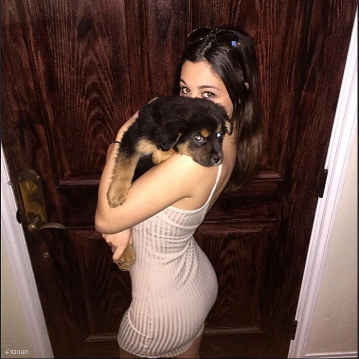 Весёлые девушки с собаками