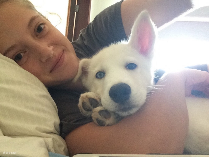 Весёлые девушки с собаками