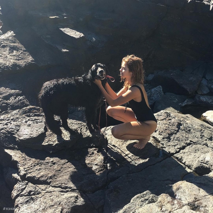 Весёлые девушки с собаками