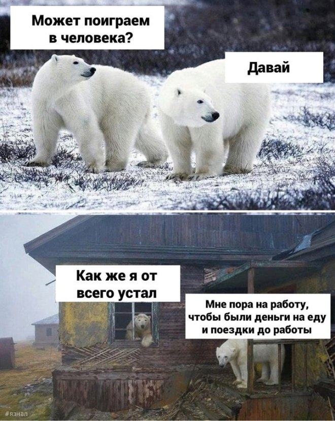 Смешной юмор