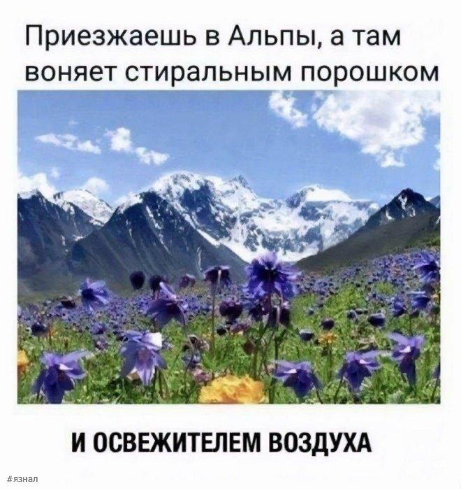 Смешной юмор