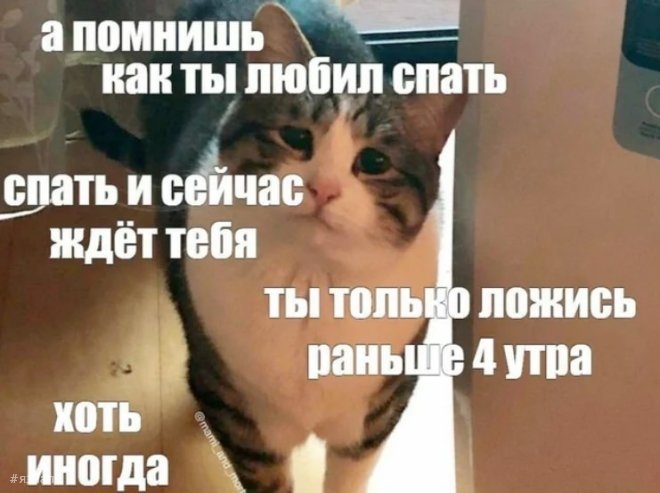 Смешной юмор