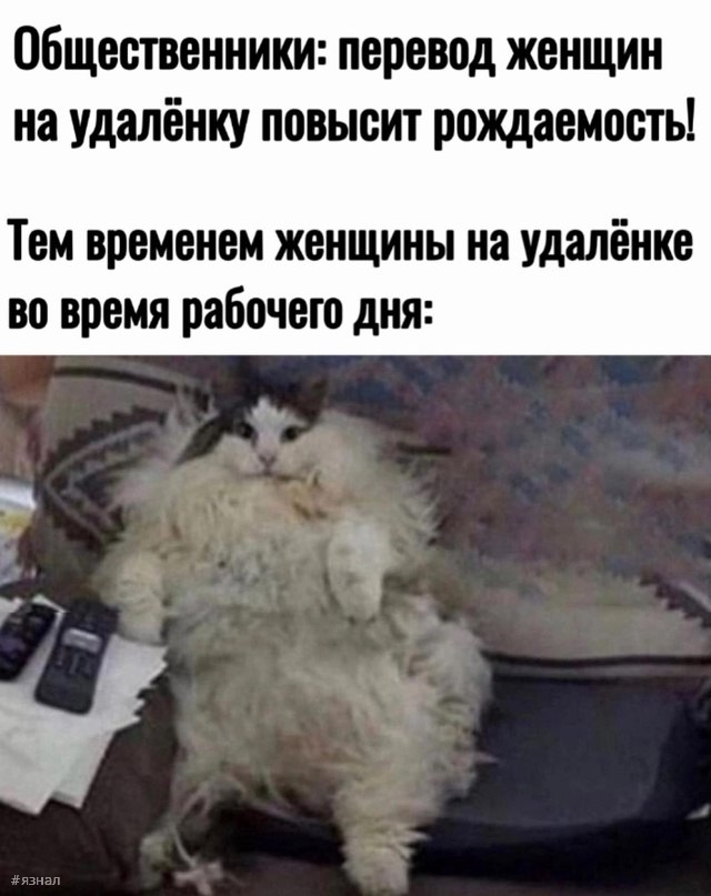 Тот самый юмор с пошлинкой