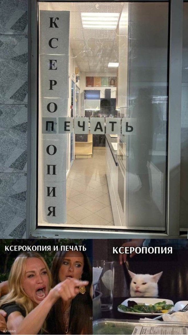 Смешные картинки в мемах