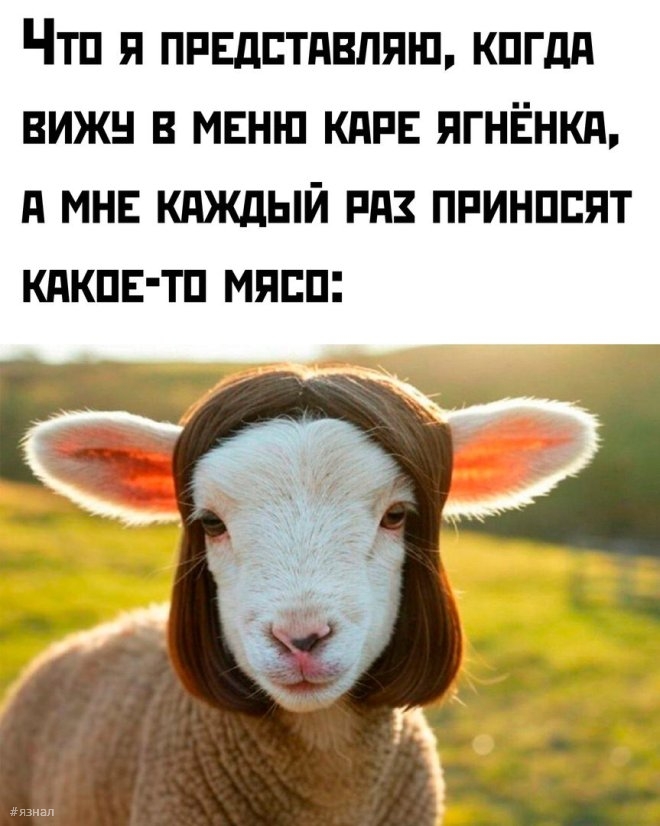 Смешные картинки в мемах